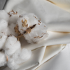 What is Giza Cotton and What Do You Need to Know?
