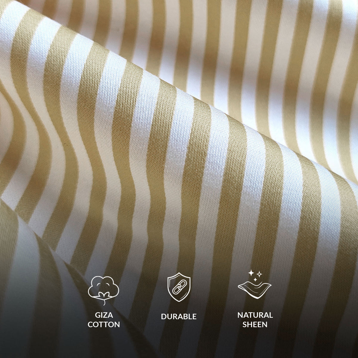 Boardroom Bengal Stripes Shirt In Sand